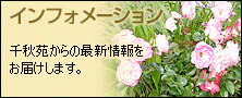�C���t�H���[�V����